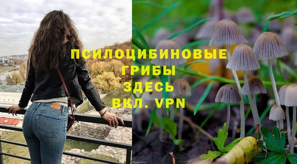 гашиш Заводоуковск