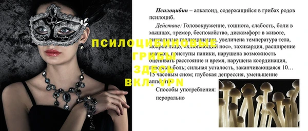 spice Заволжье