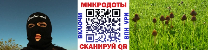 цены   Пыть-Ях  Галлюциногенные грибы Psilocybe 