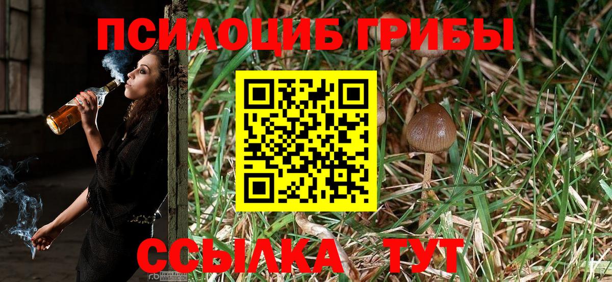 Галлюциногенные грибы Cubensis  Пыть-Ях  Галлюциногенные грибы Psilocybine cubensis 
