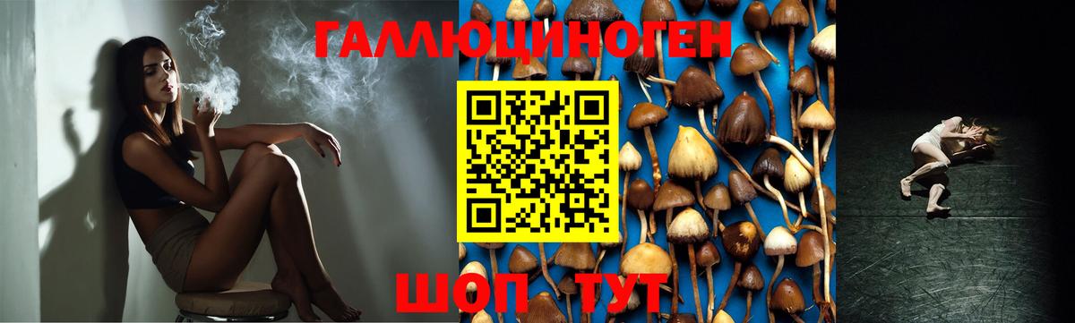 Псилоцибиновые грибы прущие грибы Пыть-Ях
